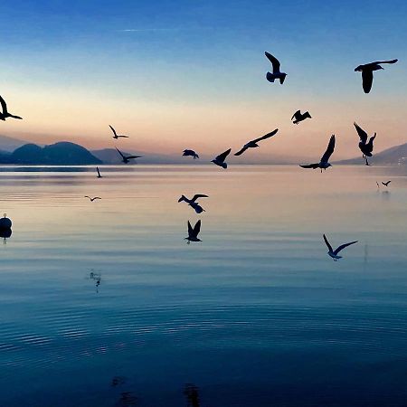 리시겐 Privatzimmer Am Thunersee 아파트 외부 사진