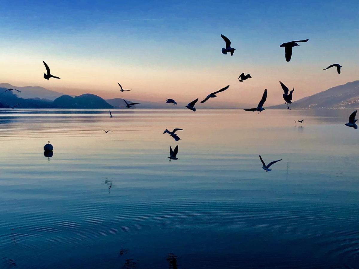 리시겐 Privatzimmer Am Thunersee 아파트 외부 사진
