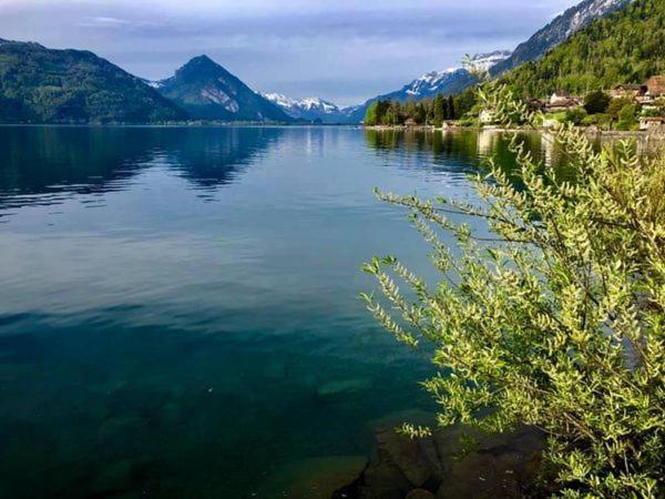 리시겐 Privatzimmer Am Thunersee 아파트 외부 사진